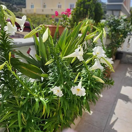 Roumeliotis House カルパトス